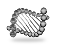 Dorper Breeding